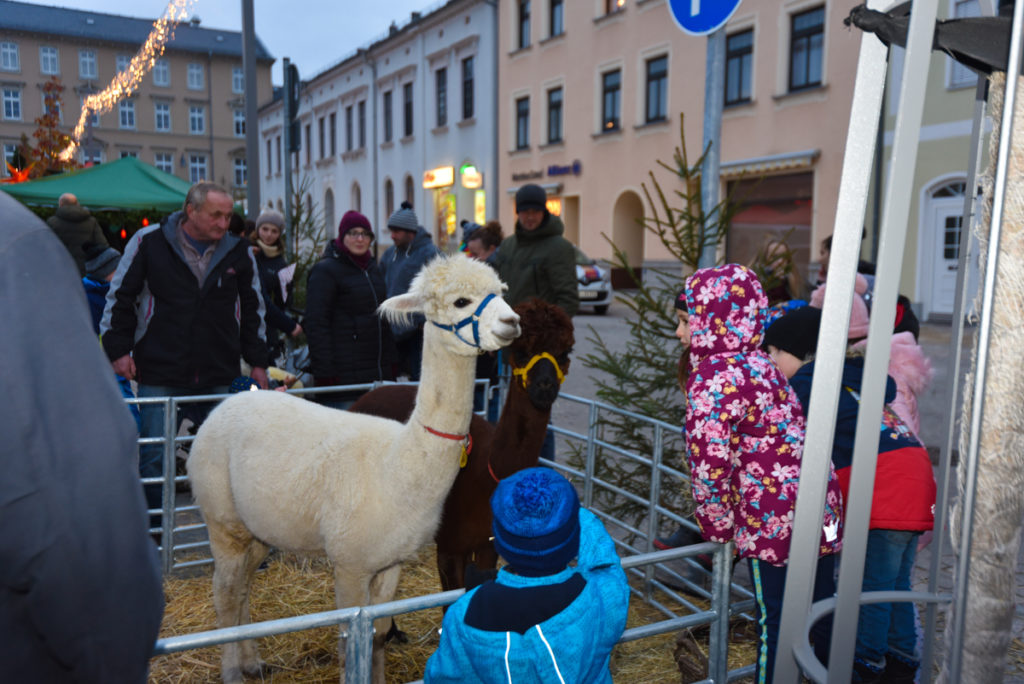 Dankesfeier 2019