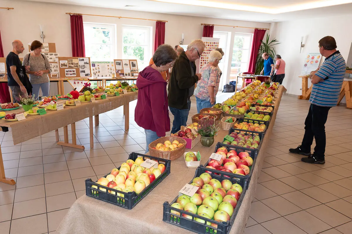Freizeitturnier (20 von 43)
