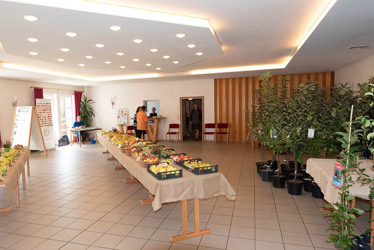 Freizeitturnier (6 von 43)