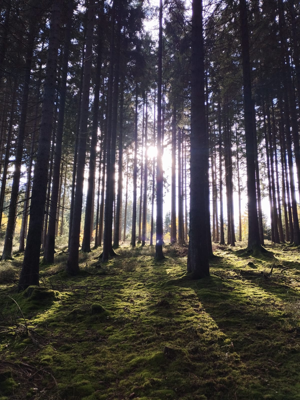 PHOTO-2025-10-25-15-24-52 2