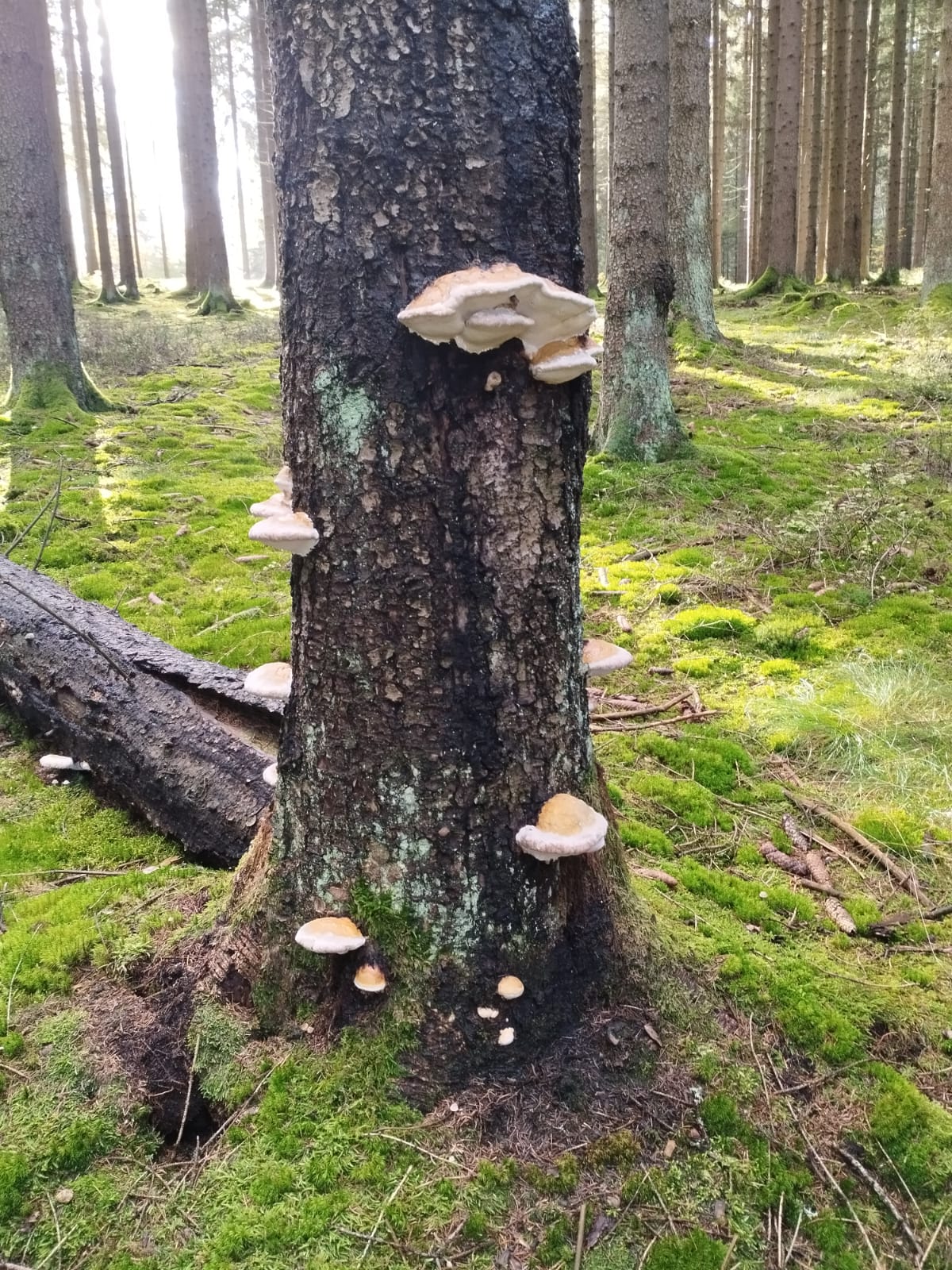 PHOTO-2025-10-25-15-24-52 3