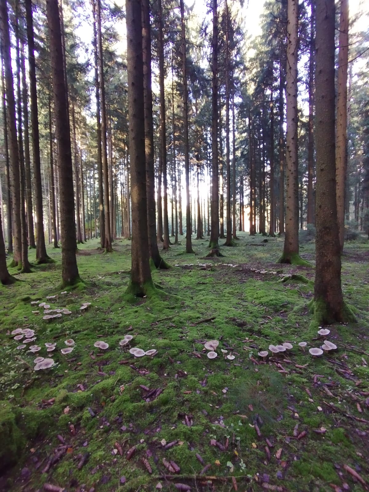 PHOTO-2025-10-25-15-24-52