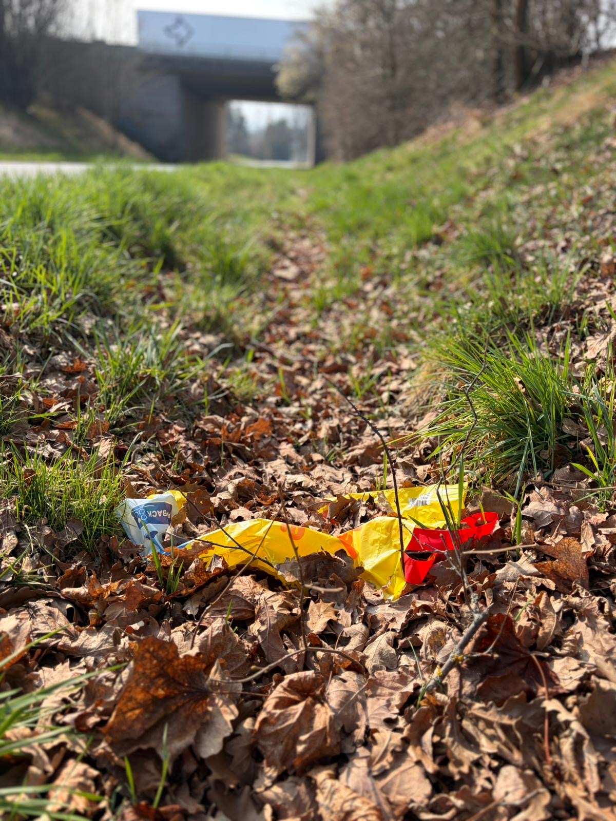 d7c1eba2-ab36-4ec8-a324-387aafc69040